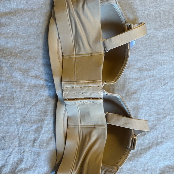 Lane Bryant Lightly Lined Multi-Way Strapless Bra (Comfort Bliss) - Picture 2 of 4